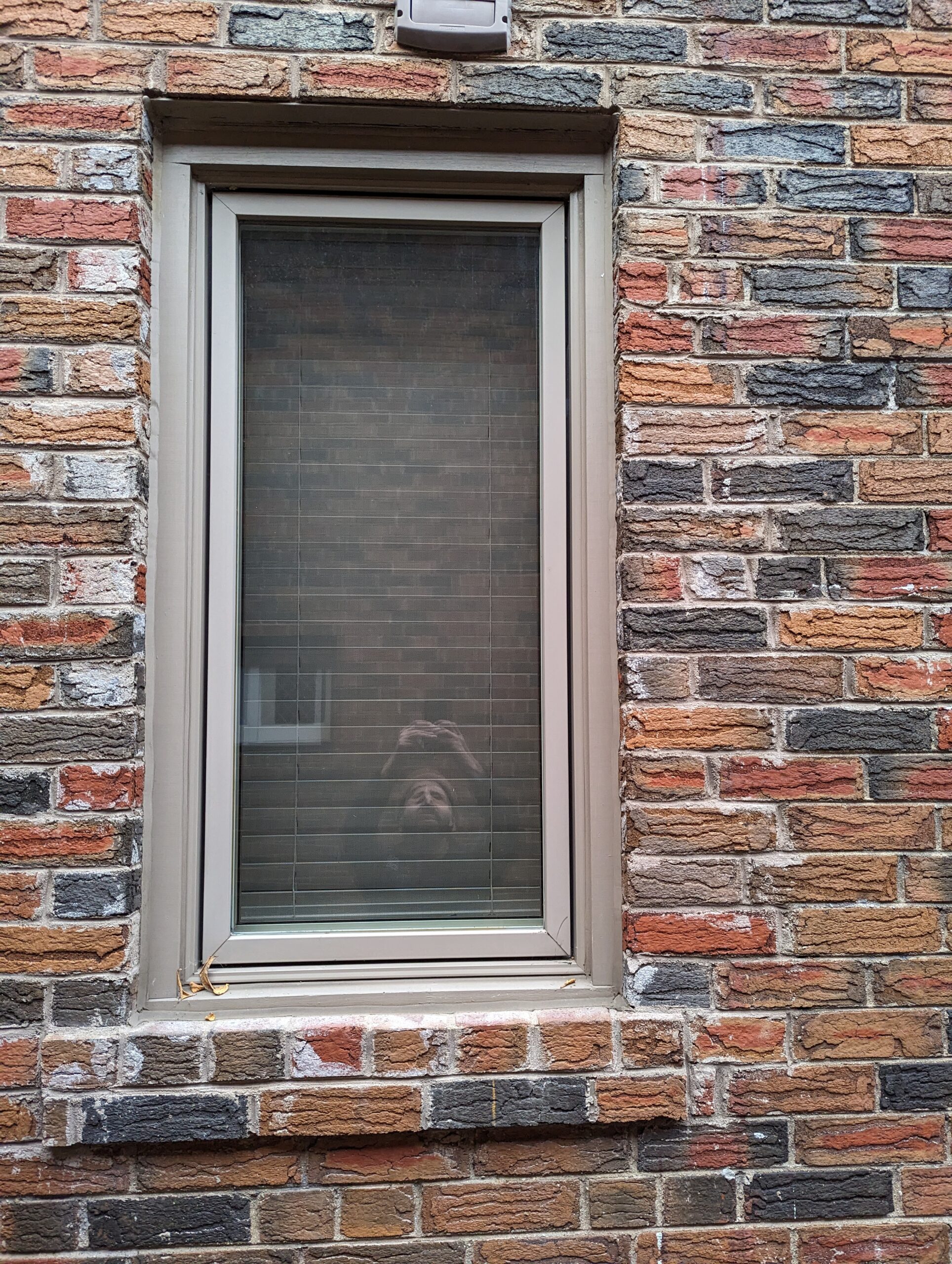 chromatist painters painted vinyl window frame exterior in a cream for toronto house